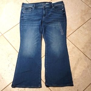 American Eagle Jeans 20 Petite